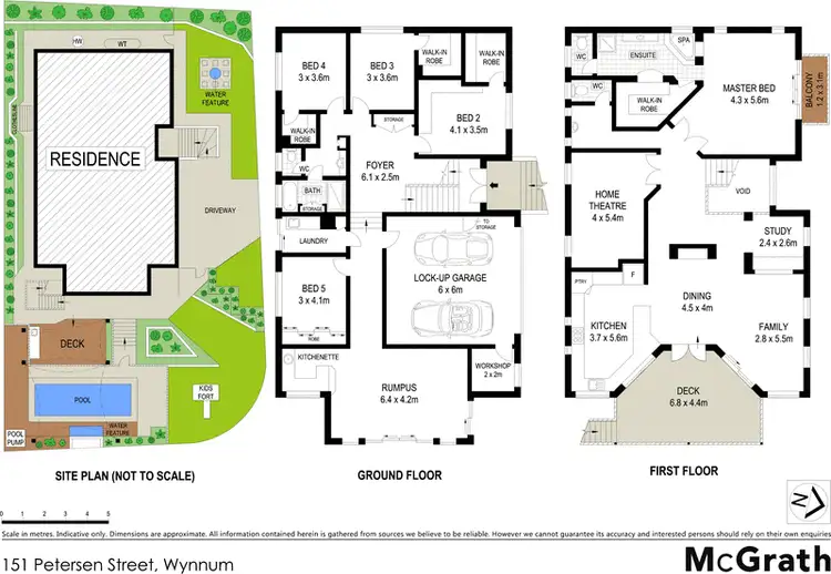 Floorplan of Homely house listing, 151 Petersen Street, Wynnum QLD 4178