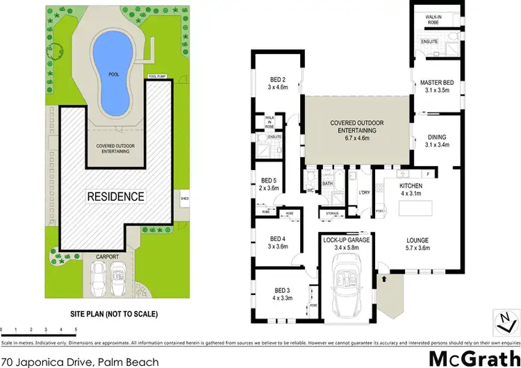 Floorplan of Homely house listing, 70 Japonica Drive, Palm Beach QLD 4221
