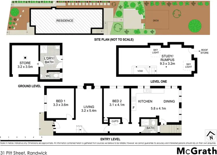 Floorplan of Homely house listing, 31 Pitt Street, Randwick NSW 2031