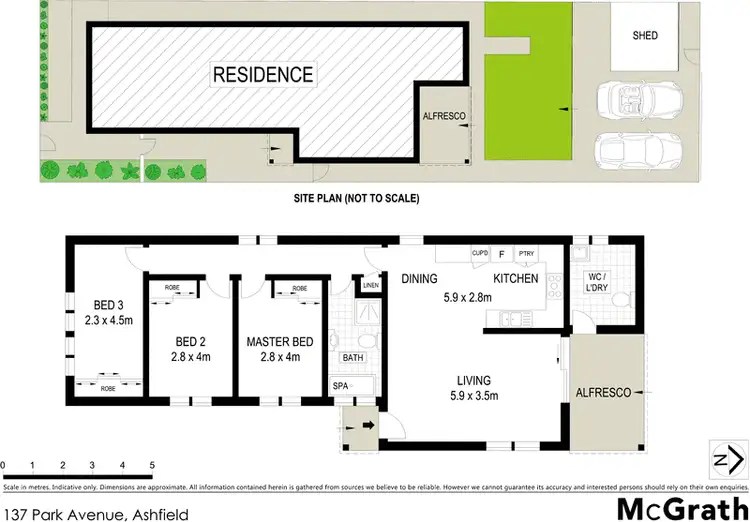 Floorplan of Homely house listing, 137 Park Avenue, Ashfield NSW 2131