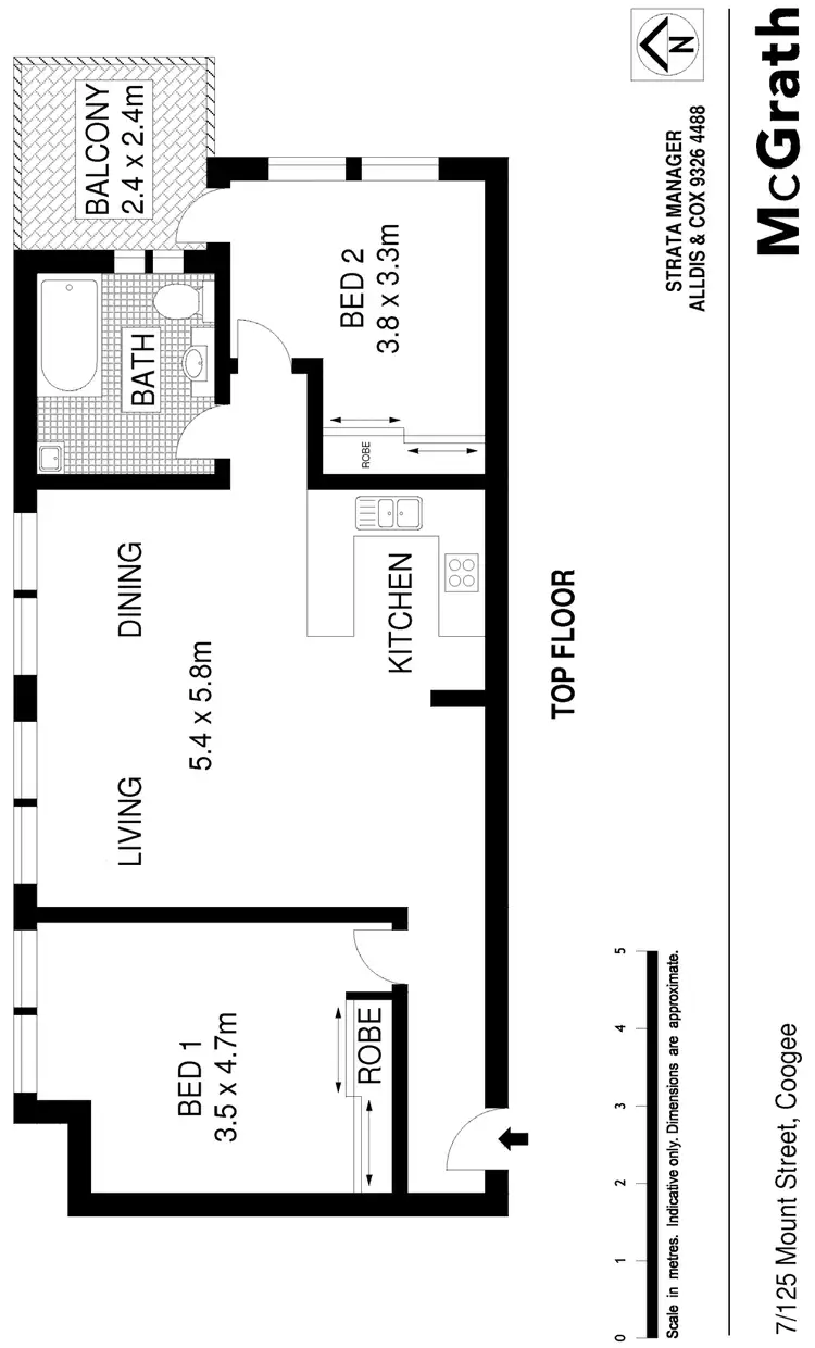 Floorplan of Homely apartment listing, 7/125 Mount Street, Coogee NSW 2034