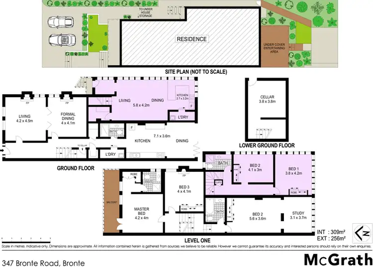 Floorplan of Homely house listing, 347 Bronte Road, Bronte NSW 2024