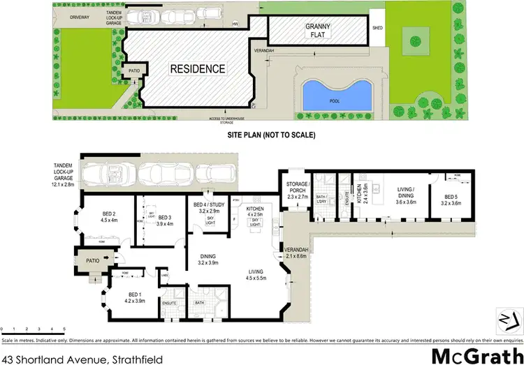 Floorplan of Homely house listing, 43 Shortland Avenue, Strathfield NSW 2135