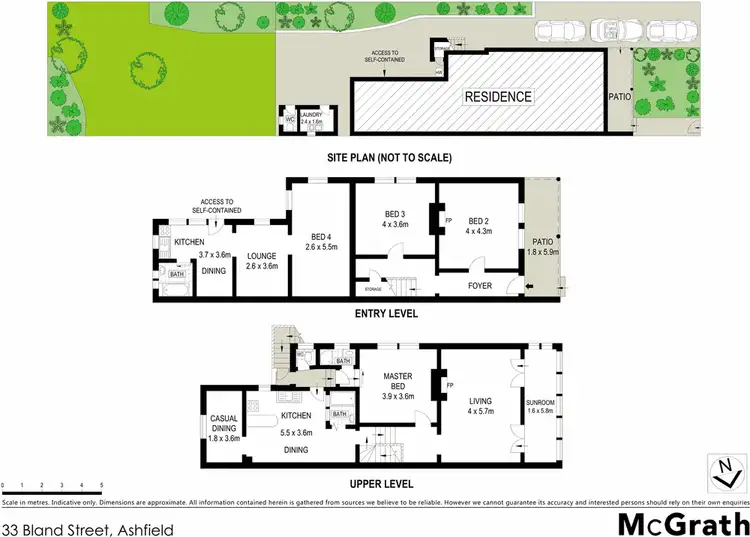 Floorplan of Homely house listing, 33 Bland Street, Ashfield NSW 2131