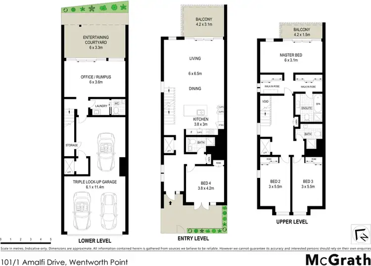 Floorplan of Homely apartment listing, 101/1 Amalfi Drive, Wentworth Point NSW 2127