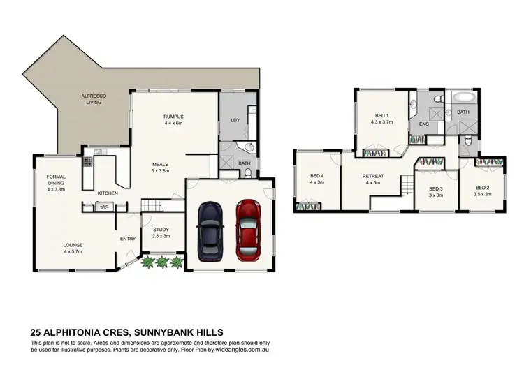 Floorplan of Homely house listing, 25 Alphitonia Crescent, Sunnybank Hills QLD 4109