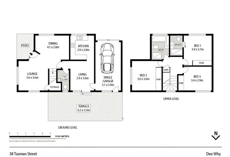 Floorplan of Homely house listing, 38 Tasman Street, Dee Why NSW 2099