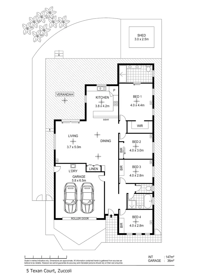 Floorplan of Homely house listing, 5 Texan Court, Zuccoli NT 832