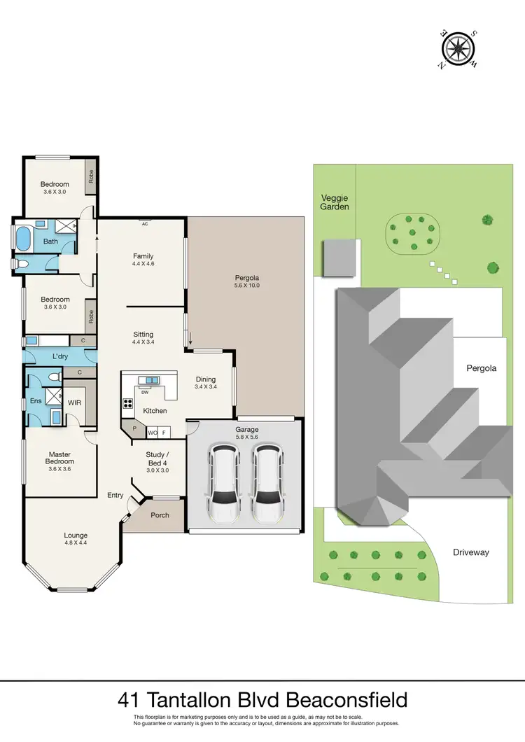 Floorplan of Homely house listing, 41 Tantallon Blvd, Beaconsfield VIC 3807