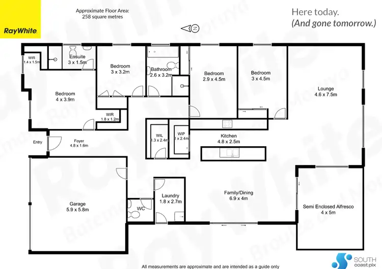 Floorplan of Homely house listing, 9 Dr King Close, Moruya NSW 2537