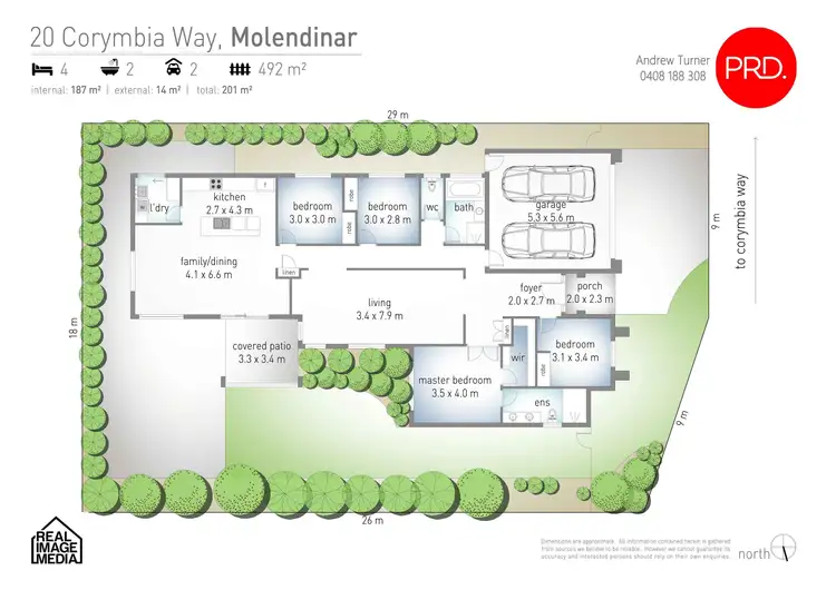 Floorplan of Homely house listing, 20 Corymbia Way, Molendinar QLD 4214