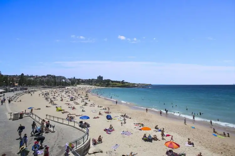 Floorplan of Homely unit listing, 6/277 Arden Street, Coogee NSW 2034