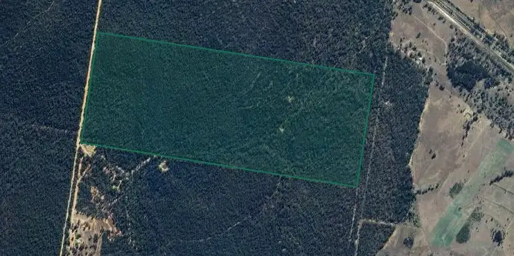 Floorplan of Homely rural property listing, 203 Oakdale Lane, Turrawan NSW 2390