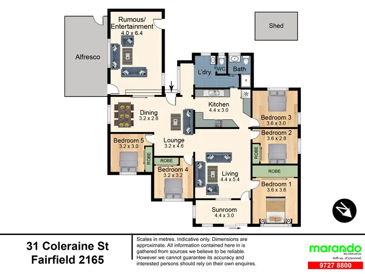 Floorplan of Homely house listing, 31 Coleraine Street, Fairfield NSW 2165