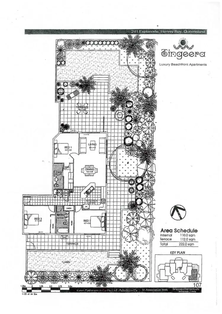Floorplan of Homely apartment listing, 107/239 Esplanade, Pialba QLD 4655