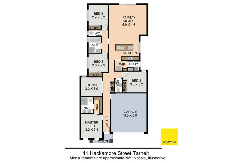 Floorplan of Homely house listing, 41 Hackamore Street, Tarneit VIC 3029