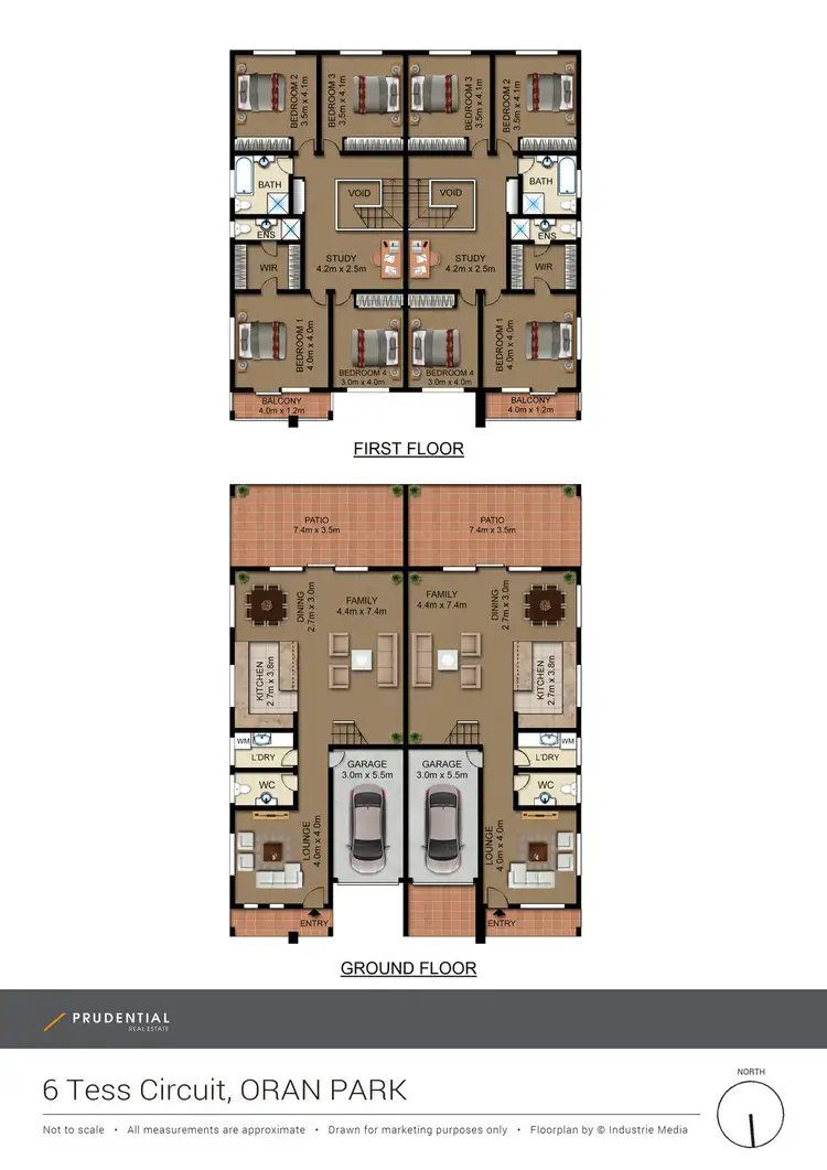 Floorplan of Homely semi-detached listing, 1/6 Tess Circuit, Oran Park NSW 2570