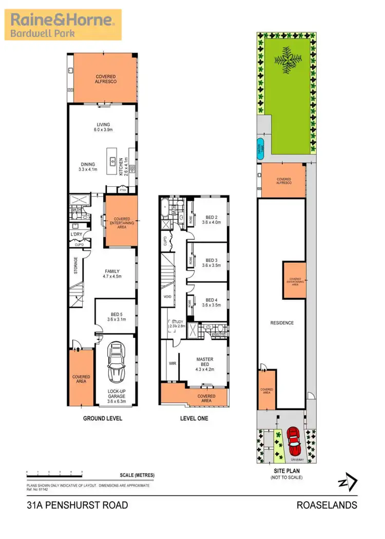Floorplan of Homely semi-detached listing, 31a Penshurst Road, Roselands NSW 2196