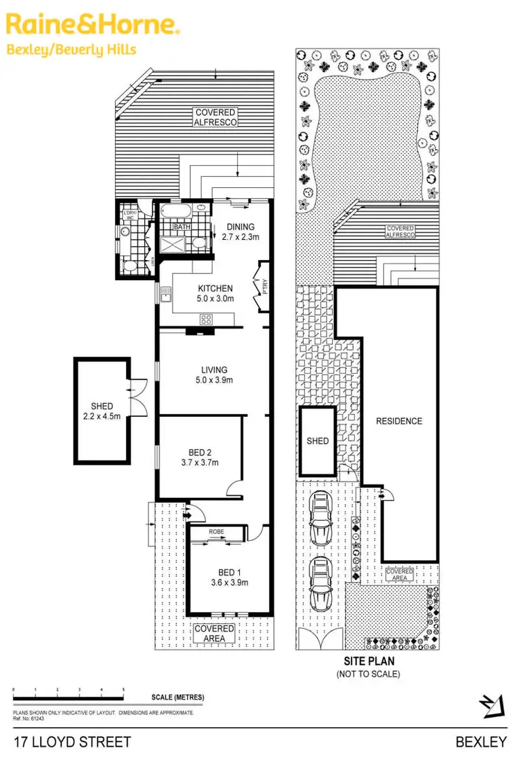 Floorplan of Homely house listing, 17 Lloyd Street, Bexley NSW 2207