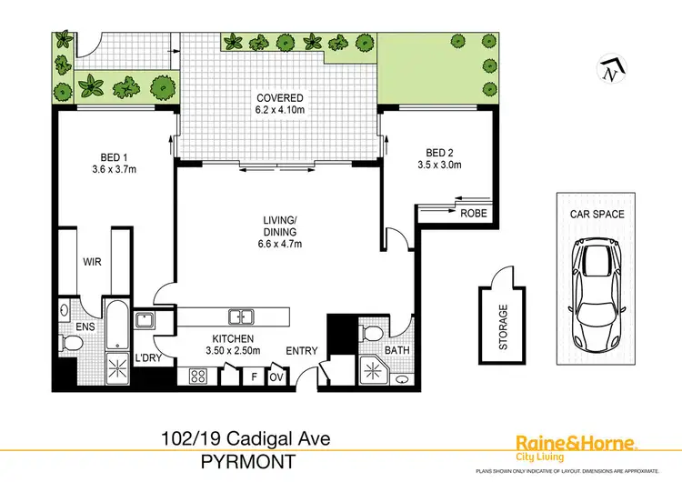 Floorplan of Homely apartment listing, 102/19 Cadigal Avenue, Pyrmont NSW 2009