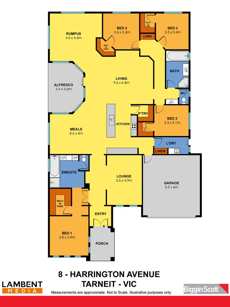 Floorplan of Homely house listing, 8 Harrington Avenue, Tarneit VIC 3029