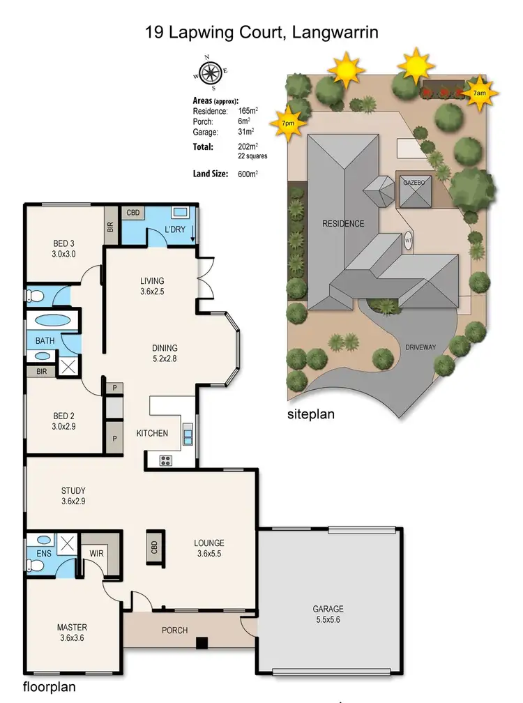 Floorplan of Homely house listing, 19 Lapwing Court, Langwarrin VIC 3910