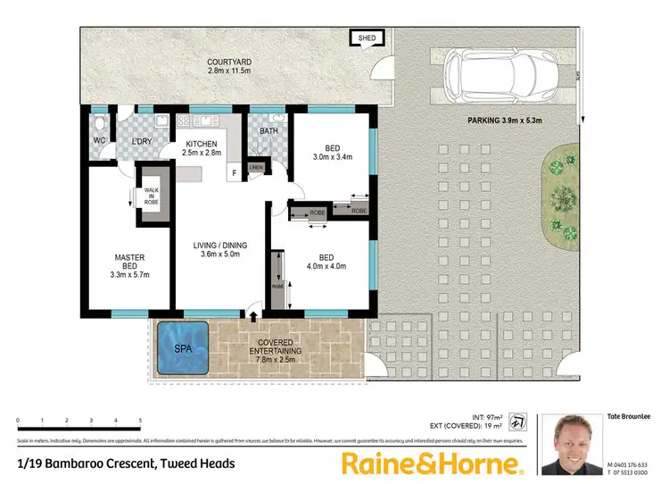 Floorplan of Homely semi-detached listing, 1/19 Bambaroo Crescent, Tweed Heads NSW 2485