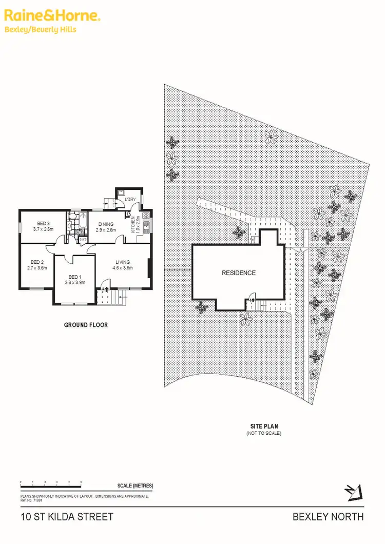 Floorplan of Homely house listing, 10 St Kilda Street, Bexley North NSW 2207