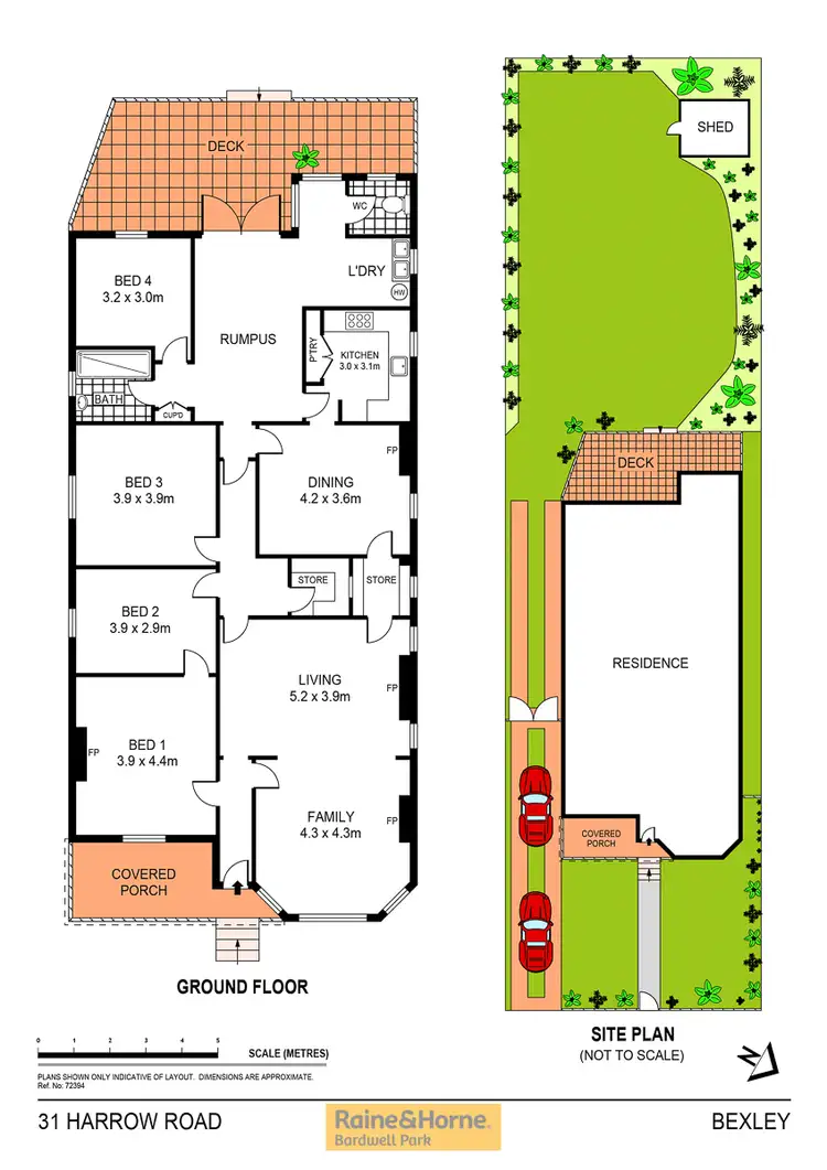 Floorplan of Homely house listing, 31 Harrow Road, Bexley NSW 2207