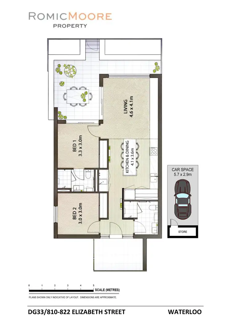 Floorplan of Homely apartment listing, DG33/810 Elizabeth Street, Waterloo NSW 2017