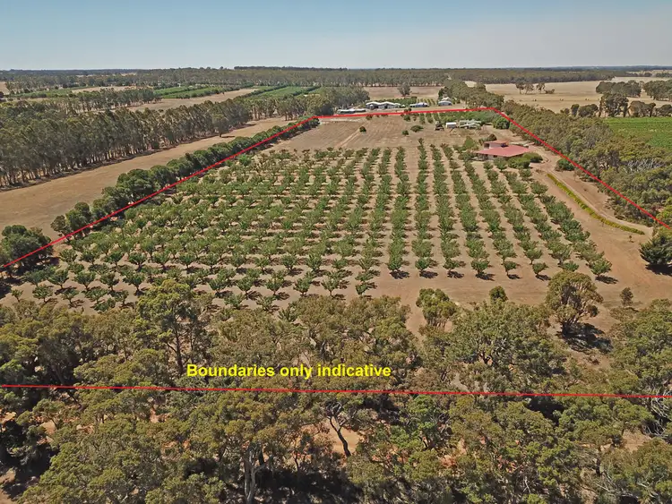 Floorplan of Homely rural property listing, 466 Brunton Road, Mount Barker WA 6324