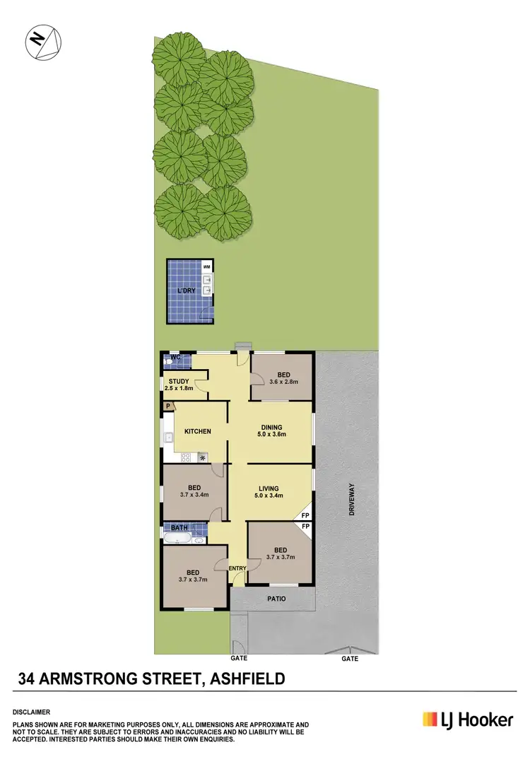 Floorplan of Homely house listing, 34 Armstrong Street, Ashfield NSW 2131