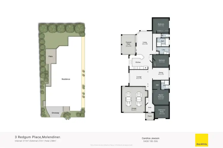 Floorplan of Homely house listing, 3 Redgum Place, Molendinar QLD 4214
