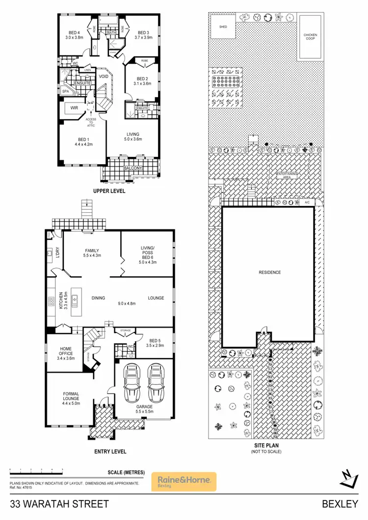 Floorplan of Homely house listing, 33 Waratah Street, Bexley NSW 2207