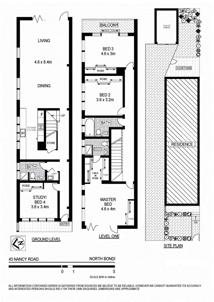 Floorplan of Homely house listing, 43 Nancy Street, North Bondi NSW 2026