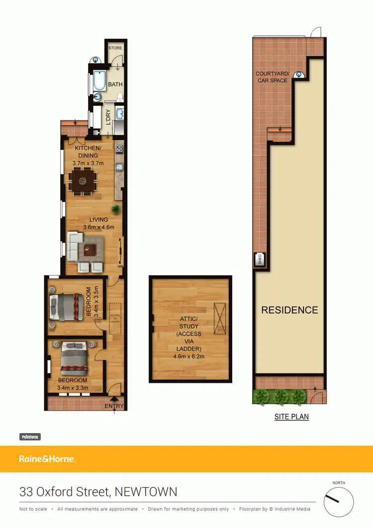 Floorplan of Homely house listing, 33 Oxford Street, Newtown NSW 2042