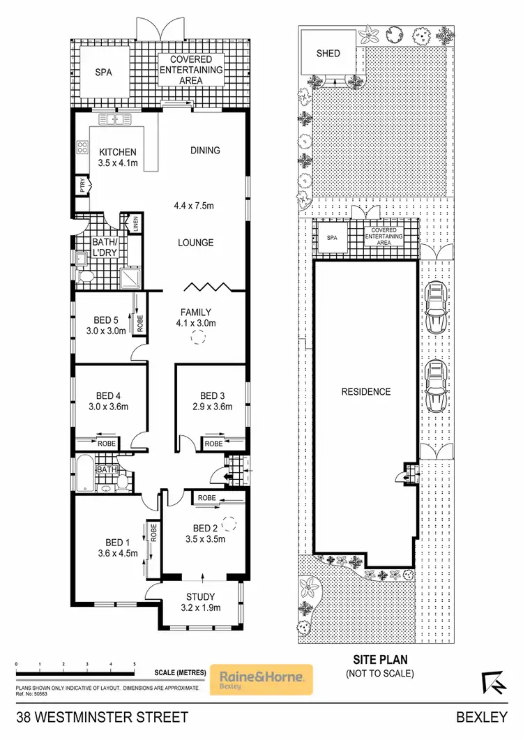Floorplan of Homely house listing, 38 Westminster Street, Bexley NSW 2207