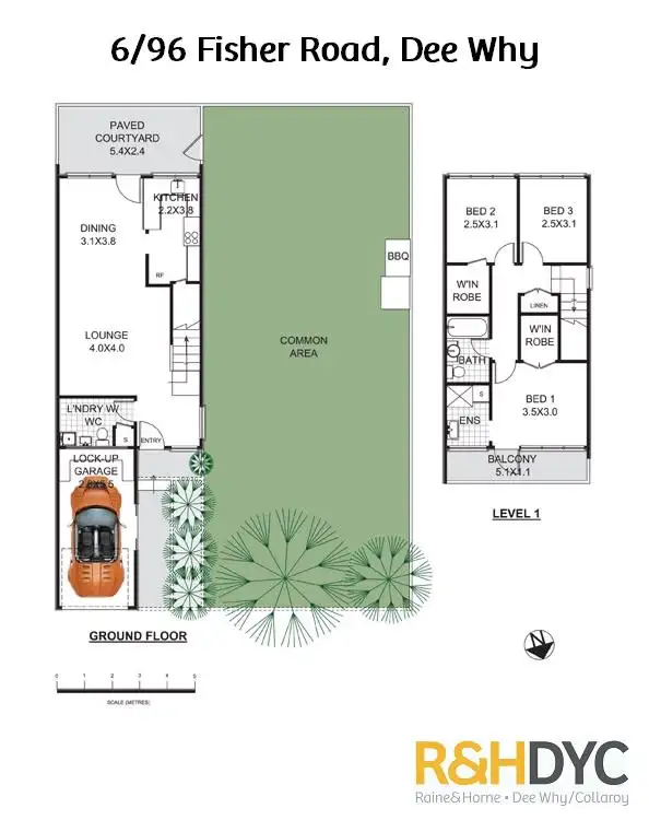 Floorplan of Homely townhouse listing, 6/96 Fisher Road, Dee Why NSW 2099