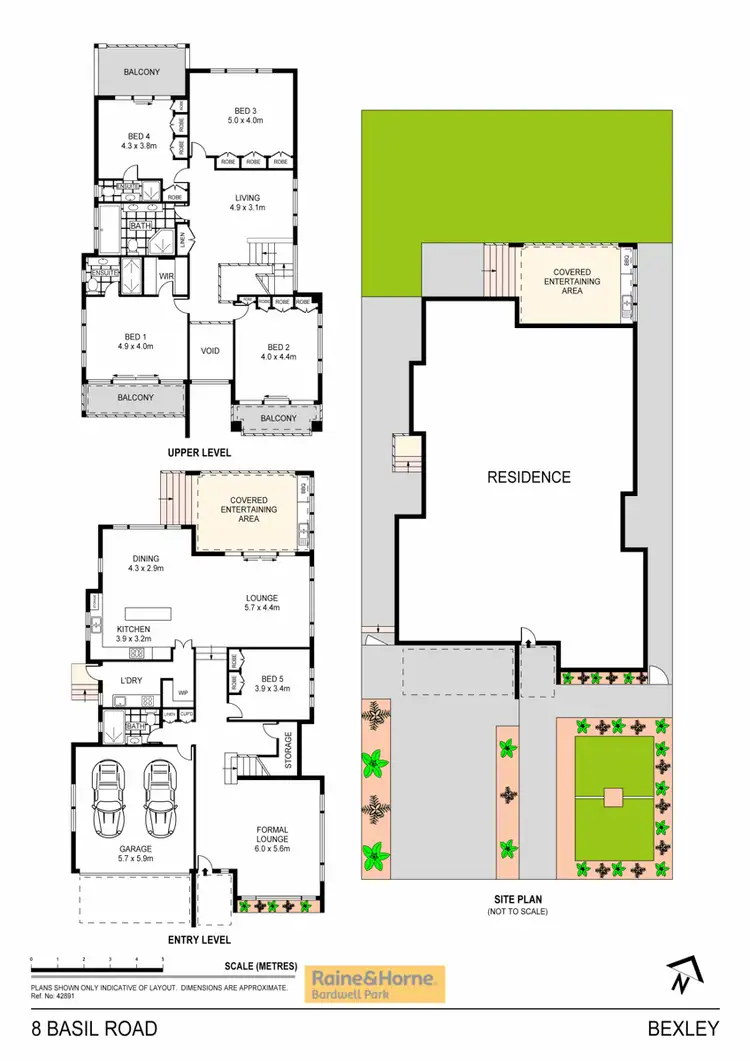 Floorplan of Homely house listing, 8 Basil Road, Bexley NSW 2207