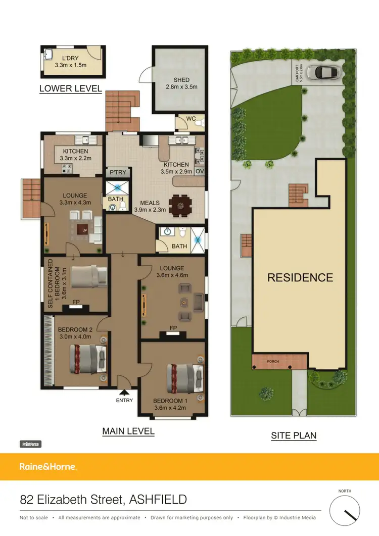 Floorplan of Homely house listing, 82 Elizabeth St, Ashfield NSW 2131