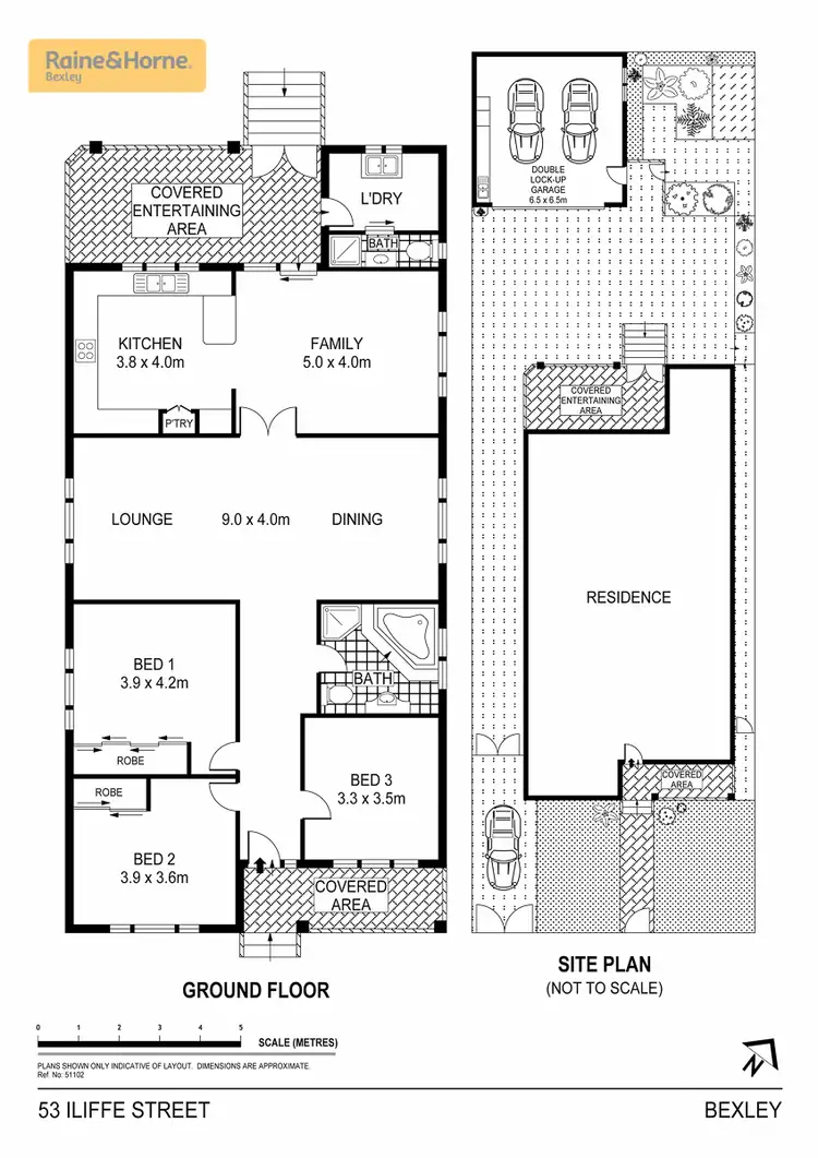 Floorplan of Homely house listing, 53 Iliffe Street, Bexley NSW 2207