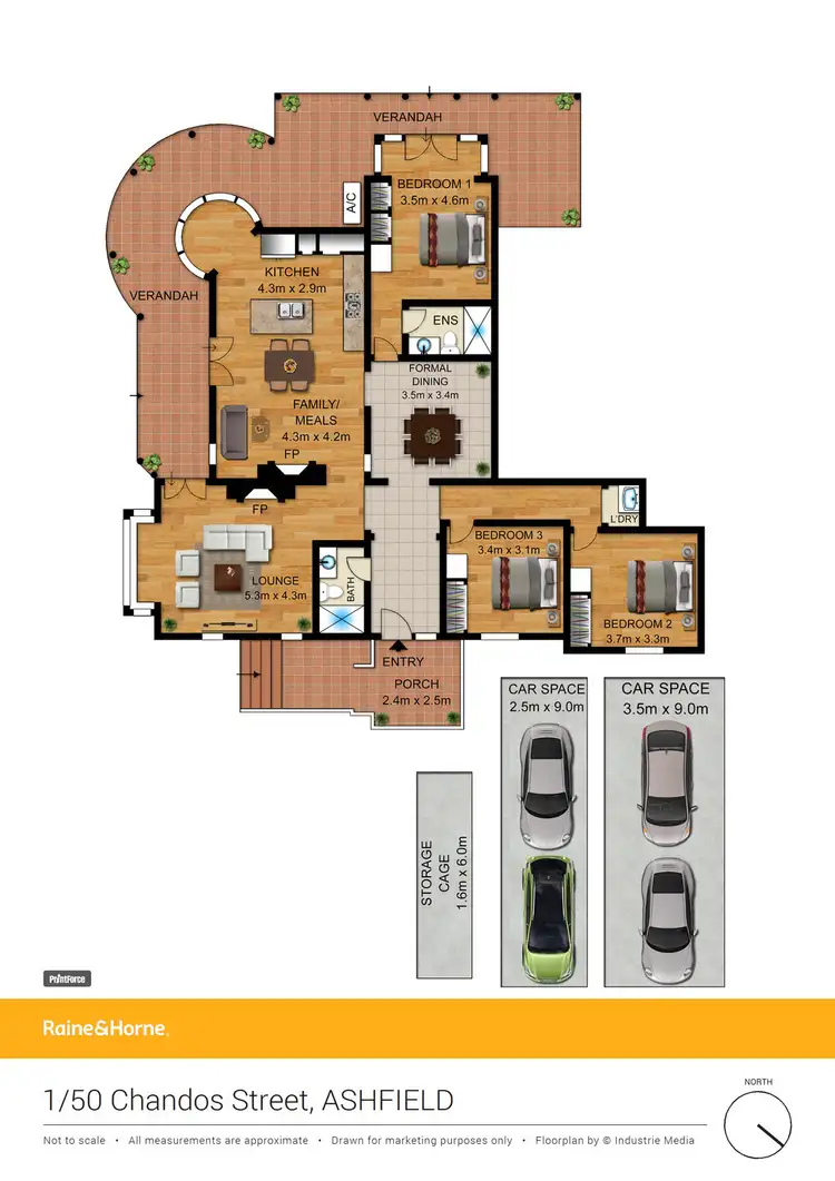 Floorplan of Homely semi-detached listing, 1/50 Chandos Street, Ashfield NSW 2131