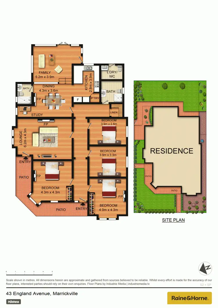 Floorplan of Homely house listing, 43 England Avenue, Marrickville NSW 2204
