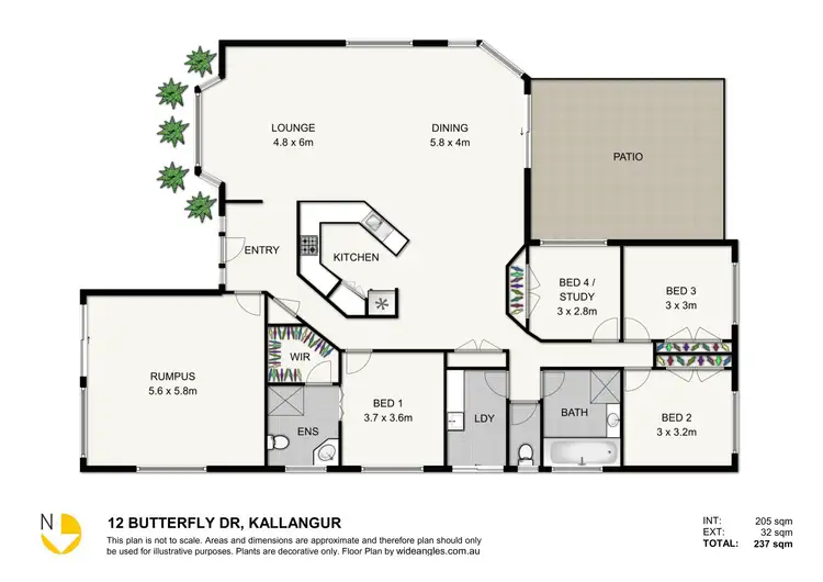 Floorplan of Homely house listing, 12 Butterfly Drive, Kallangur QLD 4503