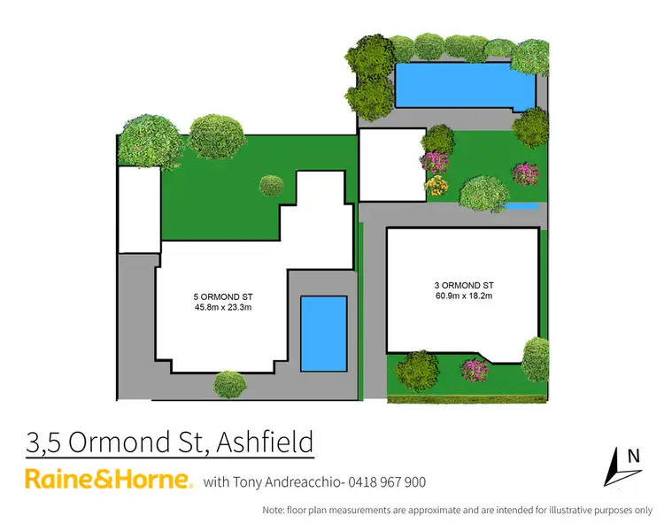Floorplan of Homely other listing, 3 Ormond Street, Ashfield NSW 2131
