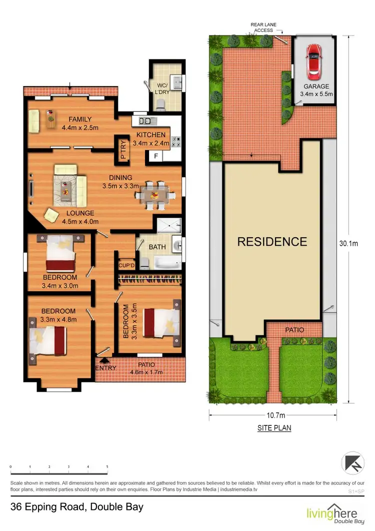 Floorplan of Homely house listing, 36 Epping Road, Double Bay NSW 2028
