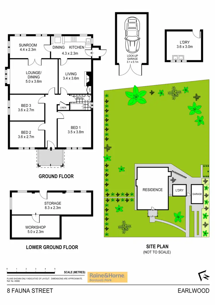 Floorplan of Homely house listing, 8 Fauna Street, Earlwood NSW 2206