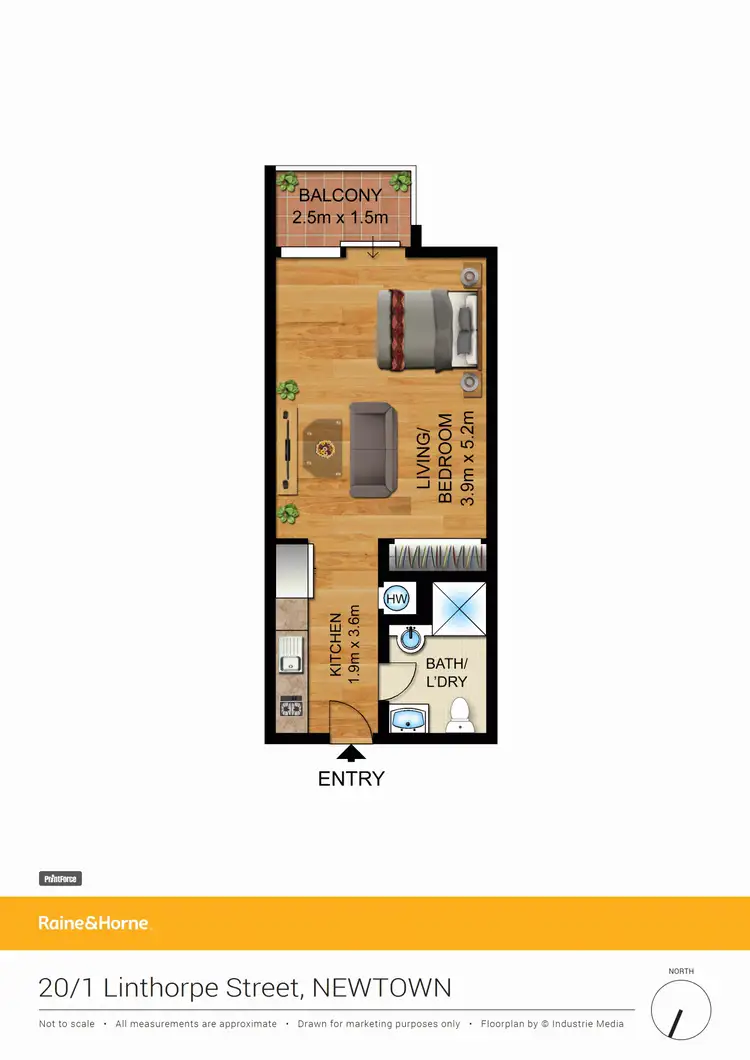Floorplan of Homely studio listing, 20/1 Linthorpe Street, Newtown NSW 2042