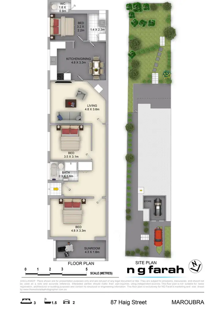 Floorplan of Homely semi-detached listing, 87 Haig Street, Maroubra NSW 2035