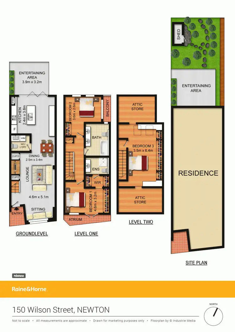 Floorplan of Homely house listing, 150 Wilson Street, Newtown NSW 2042